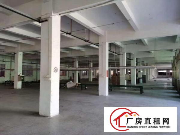  清溪荔横两层独院厂房出租7000平形像好空地大