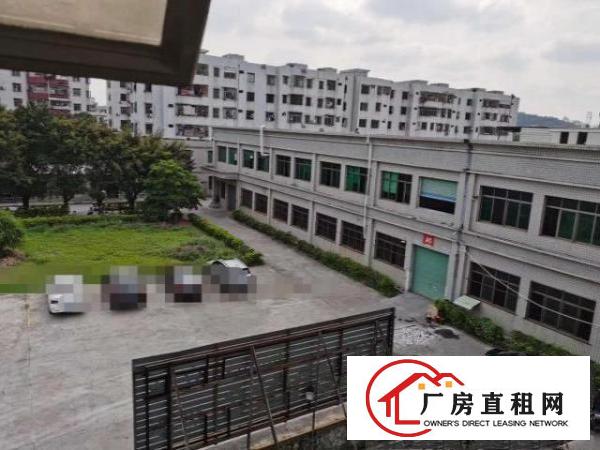  清溪荔横两层独院厂房出租7000平形像好空地大