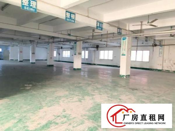  清溪大利新出独院标准厂房二楼带装修1500平米招租，水电齐全