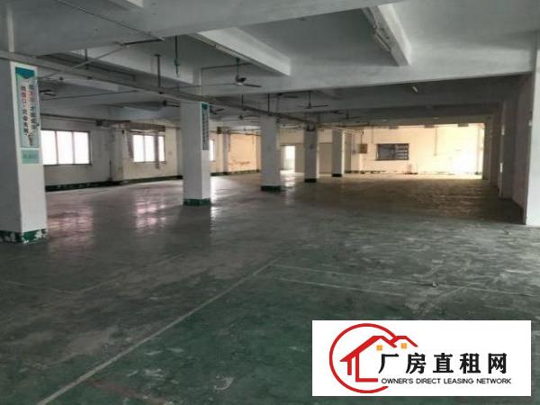  清溪大利新出独院标准厂房二楼带装修1500平米招租，水电齐全