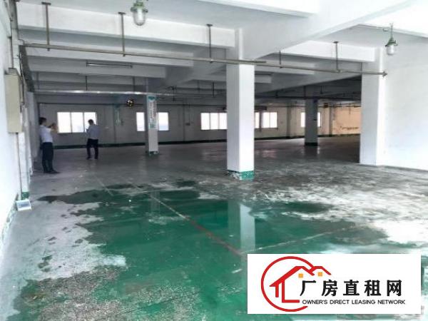  清溪大利新出独院标准厂房二楼带装修1500平米招租，水电齐全