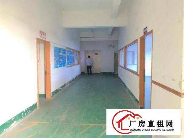  清溪大利新出独院标准厂房二楼带装修1500平米招租，水电齐全