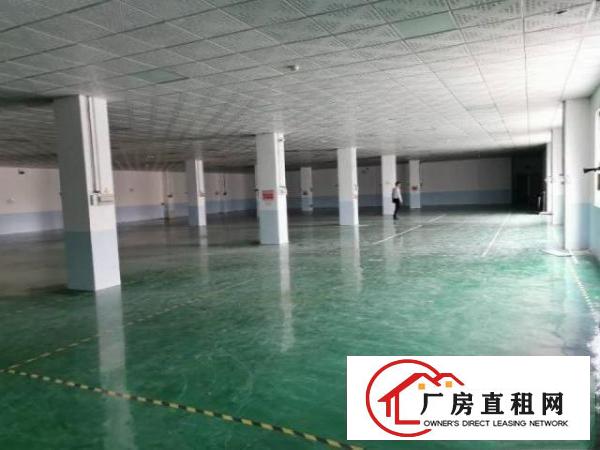  清溪九成新标准厂房楼上带装修1800平米实际面积出租