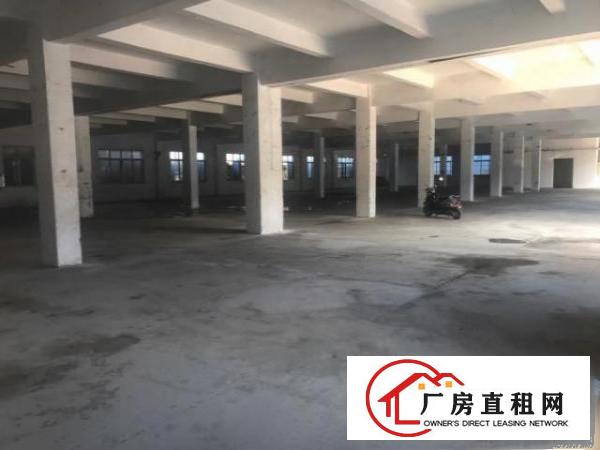  原房东厂房低价出租，价格便宜，无公摊