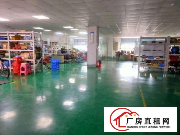  东莞市清溪镇罗马路边新出楼上厂房1000平方空地大