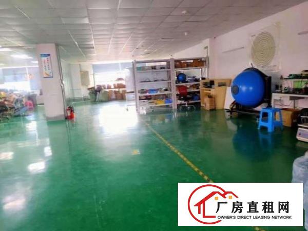  东莞市清溪镇罗马路边新出楼上厂房1000平方空地大