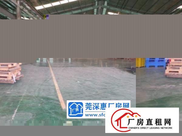 东莞市清溪镇高速出口新出带卸货平台单一层厂房11520平方