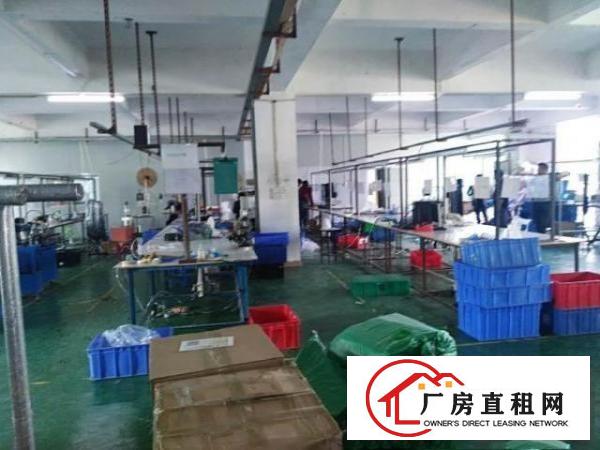  清溪镇楼上现成装修水电带办公室
