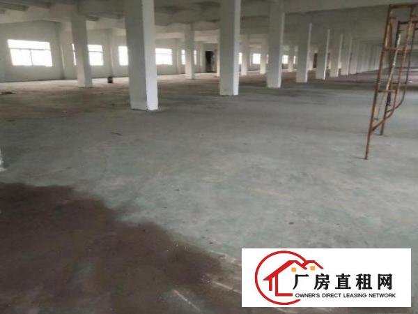  中介勿扰！清溪清凤路标准厂房出租，二楼双电梯