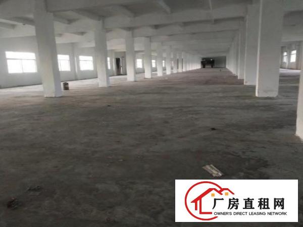  中介勿扰！清溪清凤路标准厂房出租，二楼双电梯