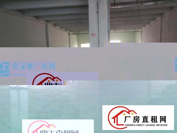  中介勿扰！新厂区，环境好，交通便利，全新地坪漆