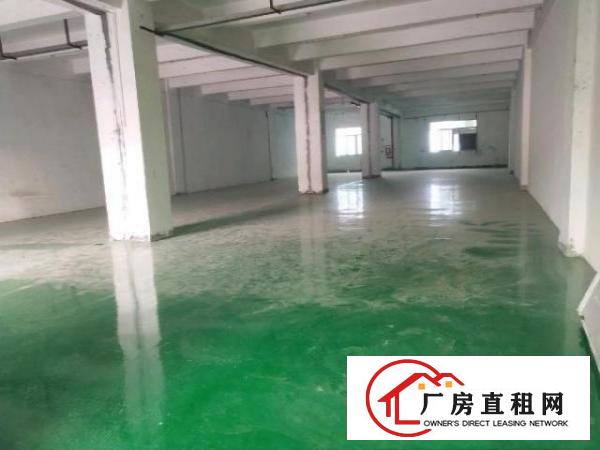  中介勿扰！新厂区，环境好，交通便利，全新地坪漆
