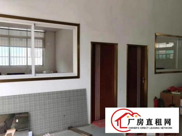  原房东一楼1000平，实际面积出租，层高6米，带牛角！