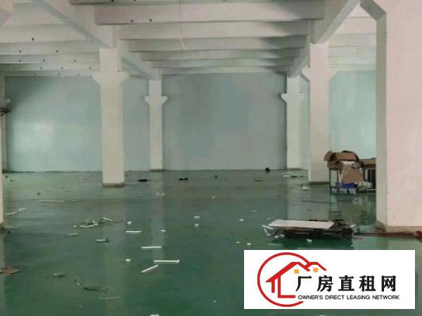  原房东一楼1000平，实际面积出租，层高6米，带牛角！