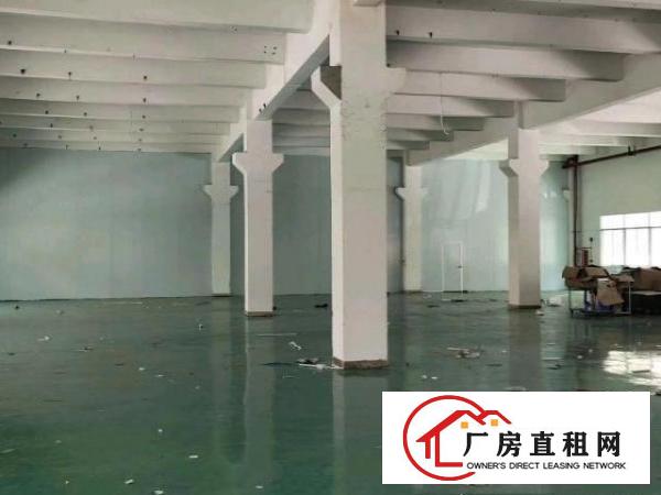  原房东一楼1000平，实际面积出租，层高6米，带牛角！