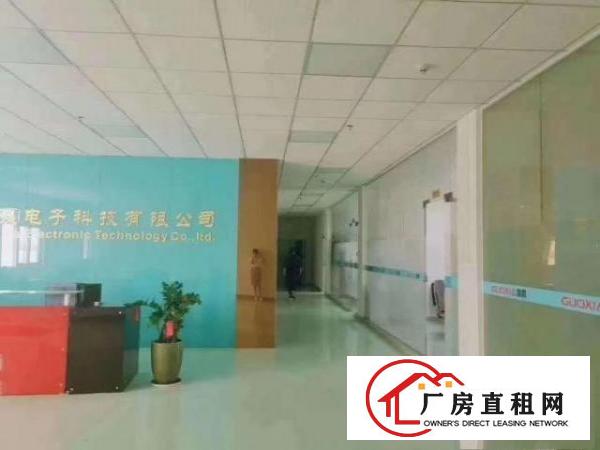  清溪镇原房东独院厂房总面积6700平出租，现成水电