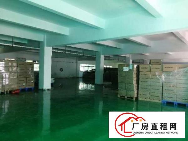  清溪镇原房东独院厂房总面积6700平出租，现成水电
