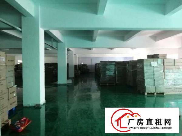  清溪镇原房东独院厂房总面积6700平出租，现成水电