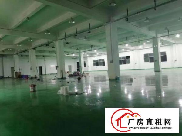  清溪镇原房东独院厂房总面积6700平出租，现成水电