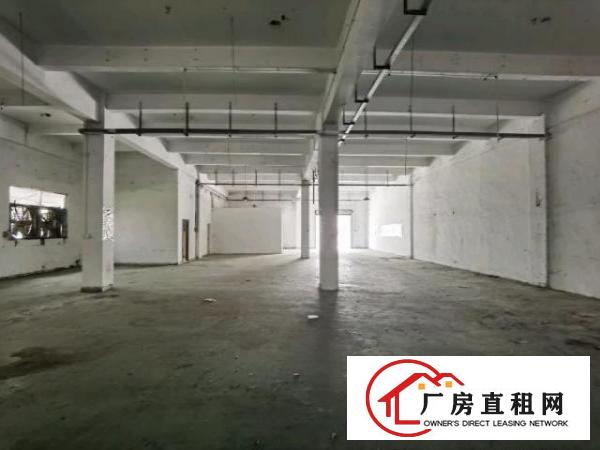  标准厂房俩层独院共9500平方无宿舍，部分带装修