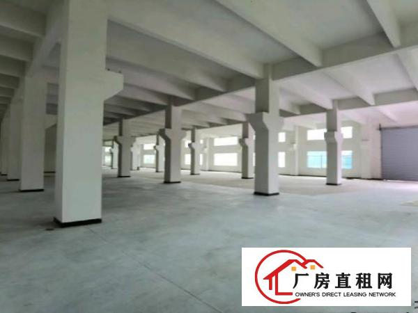  全新带牛角标准厂房滴水高6.5米