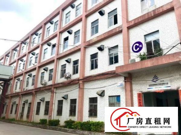  清溪食品厂房低价招租