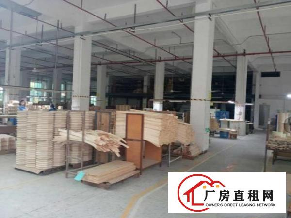  清溪原房东厂房形象好大小可，不限行业