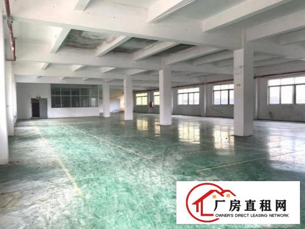  带装修，清溪浮岗独院，标准厂房二楼2600平米招租