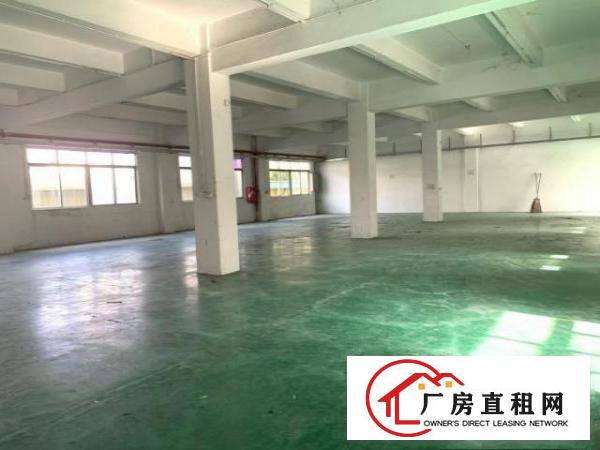  带装修，清溪浮岗独院，标准厂房二楼2600平米招租