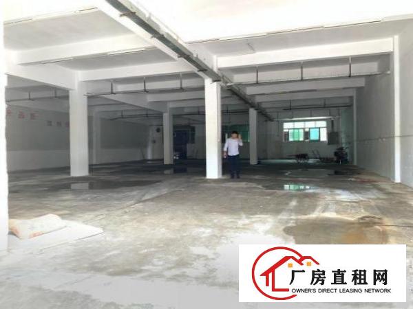  清溪大利大马路边标准厂房一楼750平招租，现成办公，水电齐全