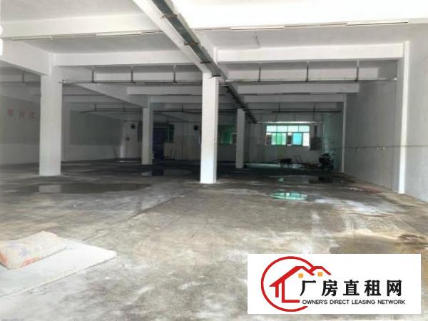  清溪大利大马路边标准厂房一楼750平招租，现成办公，水电齐全