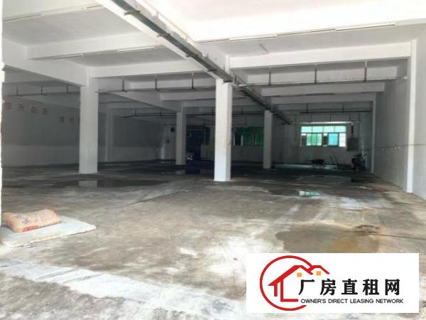  清溪大利大马路边标准厂房一楼750平招租，现成办公，水电齐全