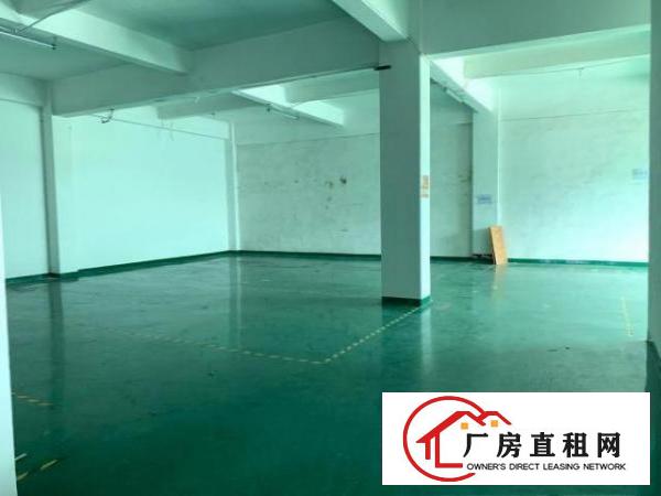  清溪罗马高速出口新出标准厂房楼上带装修1100平米招租