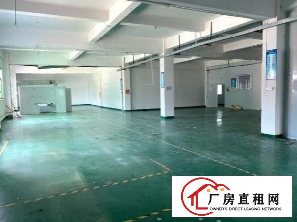  清溪罗马高速出口新出标准厂房楼上带装修1100平米招租