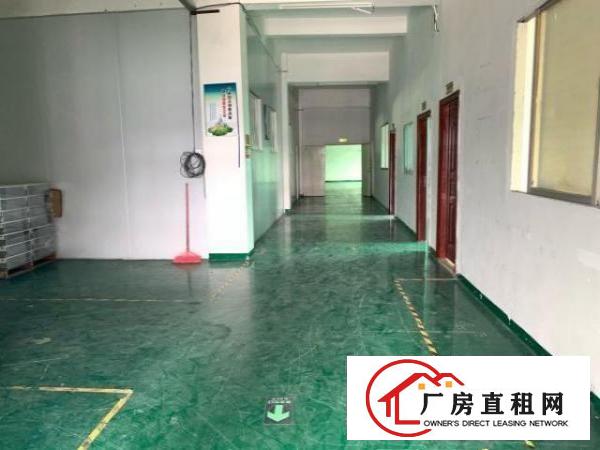  清溪罗马高速出口新出标准厂房楼上带装修1100平米招租