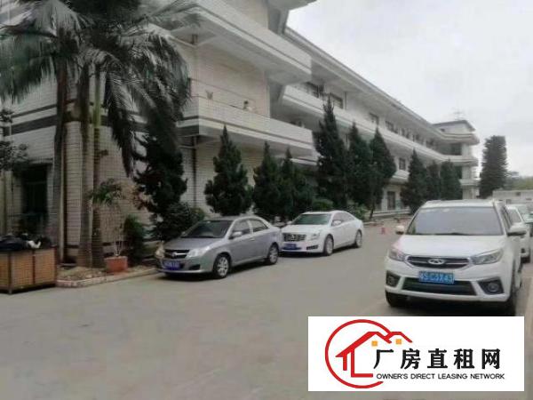  无尘车间清溪新出标准厂房3200平方