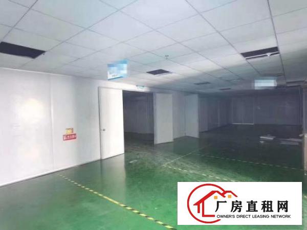  无尘车间清溪新出标准厂房3200平方