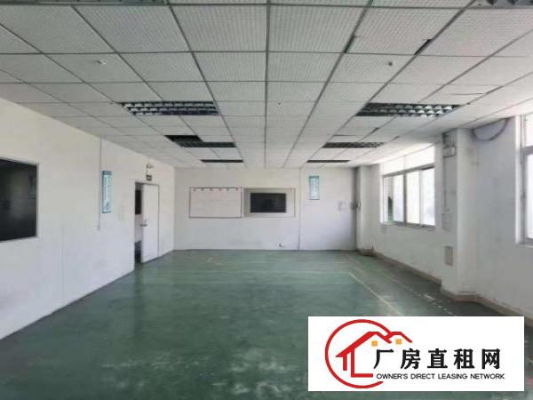  无尘车间清溪新出标准厂房3200平方