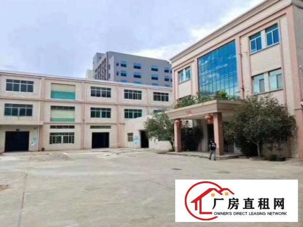  清溪新出独门独院厂房