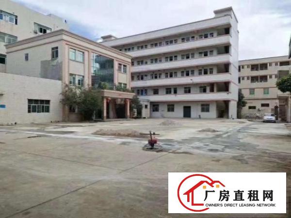  清溪新出独门独院厂房