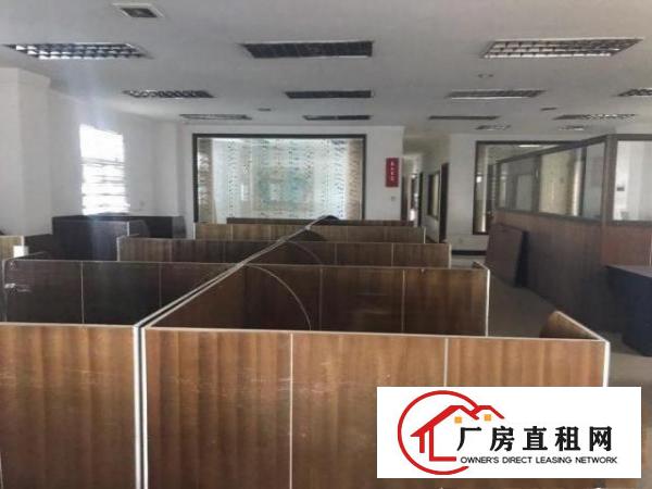  清溪大利带装修厂房大小分租100起分