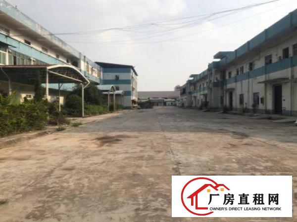  清溪大利带装修厂房大小分租100起分