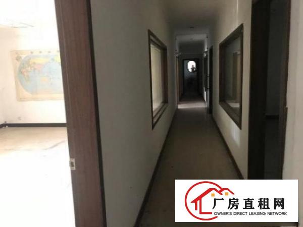  清溪大利带装修厂房大小分租100起分