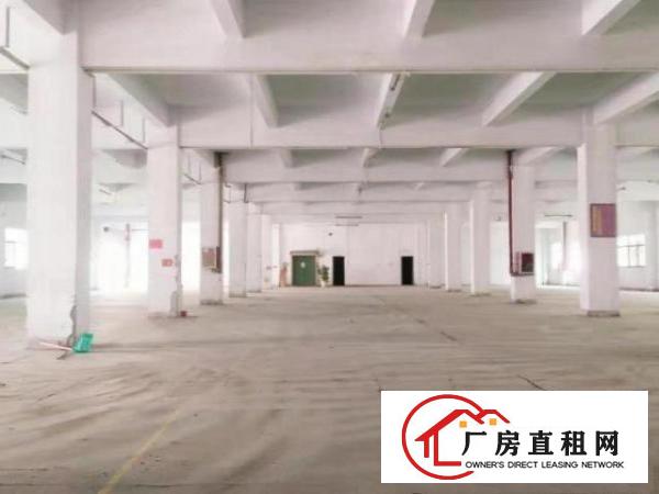  清溪谢坑村新出独院厂房3层9000平出租可分租