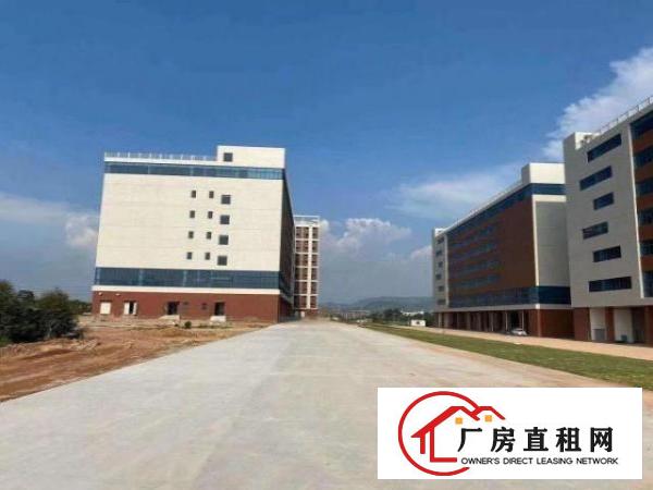  出租清溪清溪城区高速路口