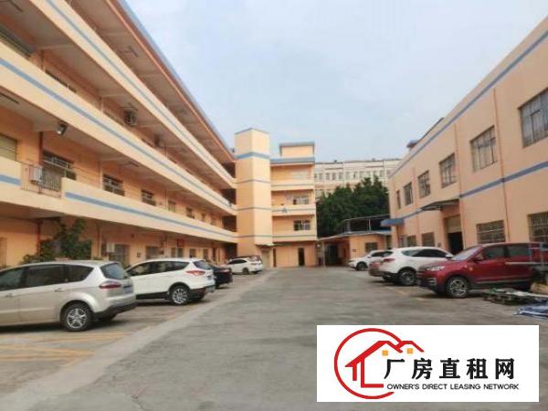  清溪浮岗原房东房子出租