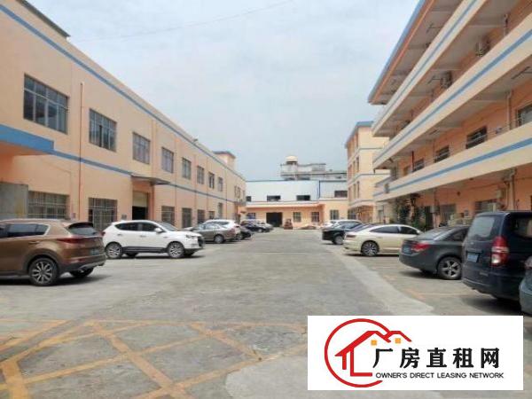  标准厂房楼上650平，精装修