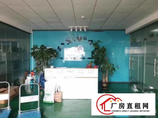  标准厂房楼上650平，精装修
