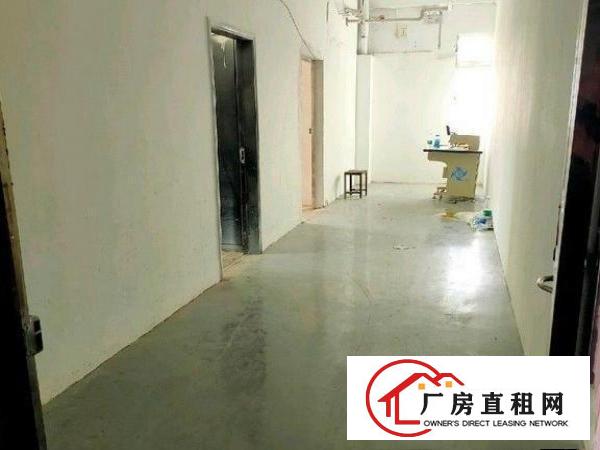  清溪浮岗村主干道旁480平厂房出租