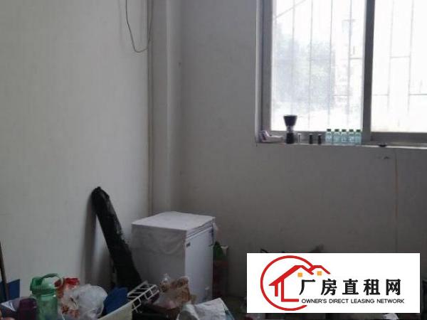  面积290平，适合小加工企业，水电齐全